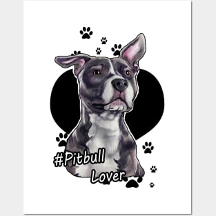 Pitbull Lover Posters and Art